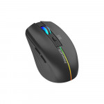 PROMATE Kitt 2.4GHz Wireless Ergonomic Optical Mouse with LED Rainbow Lights - Black