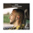 Promate MagMount-BT 2-in-1 MagSafe Compatible 15W Wireless Car Charger with Built-in Wireless Mono ENC Earphone